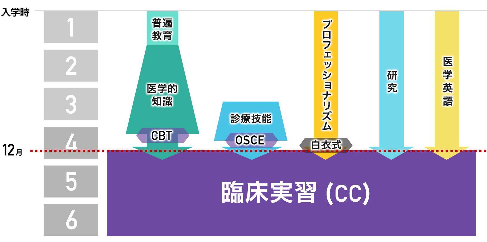 千葉大学医学部の教育課程