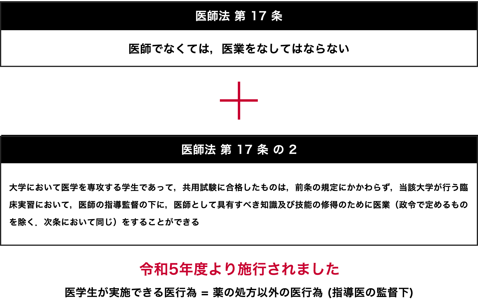 医学生が実施できる医行為 = 薬の処方以外の医行為 (指導医の監督下)