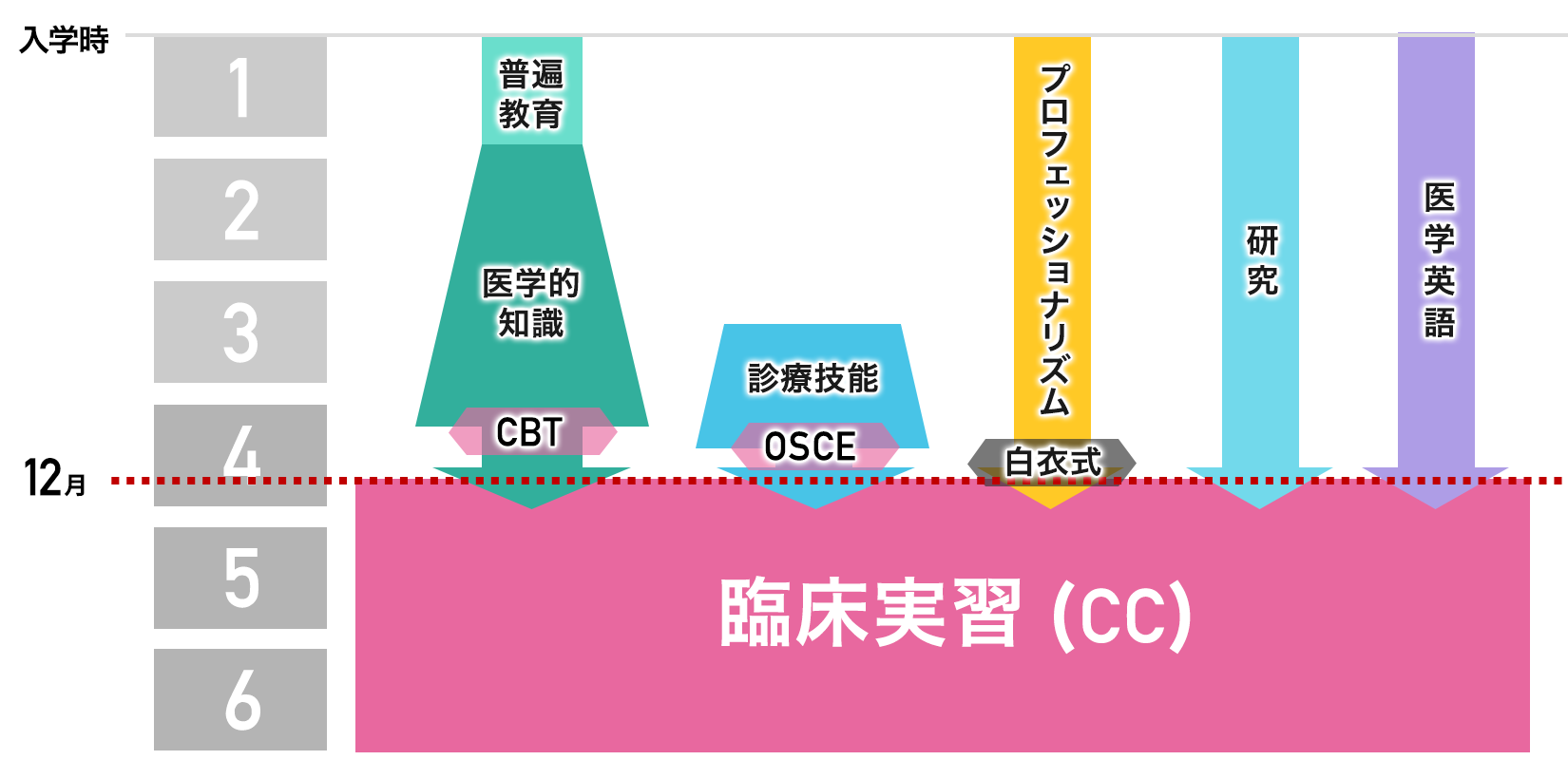臨床実習前教育